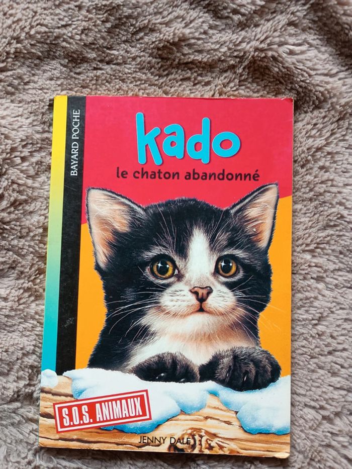 Livre Kado le chat abandonné