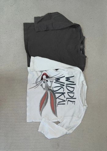 Lot de pull / t-shirt à manches longues 18 mois