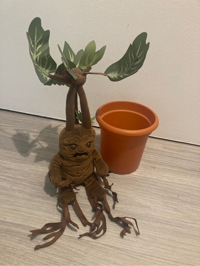 Harry Potter - photo numéro 2