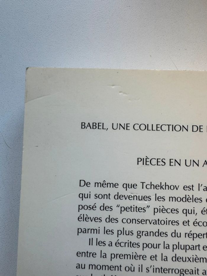 Pièce de théâtre Anton Tchekhov pièces en un acte - photo numéro 4