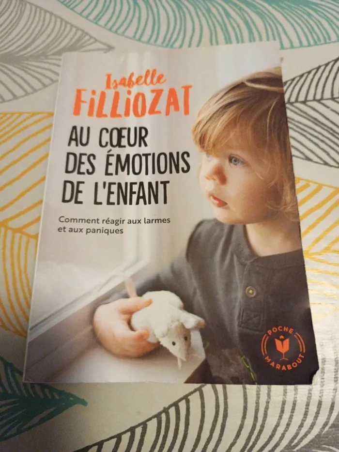 Au coeur des émotions de l'enfant Isabelle Filliozat