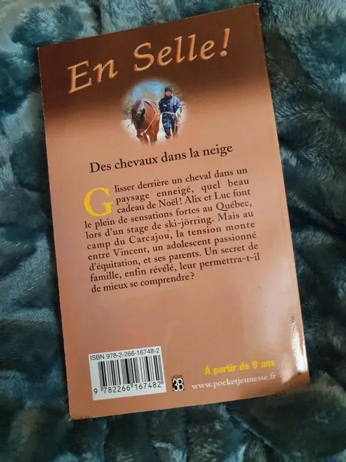 Lot 2 Livres pocket jeunesse - photo numéro 8