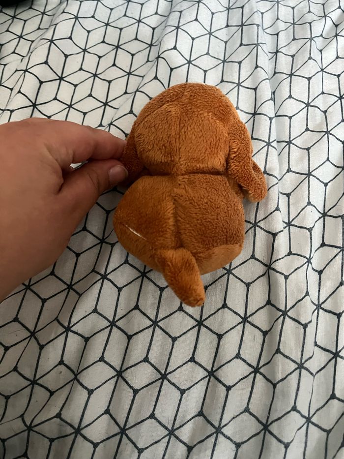 Petit chien - photo numéro 3