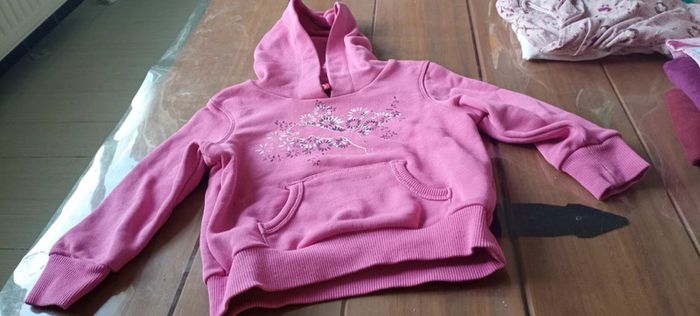 Pull puma