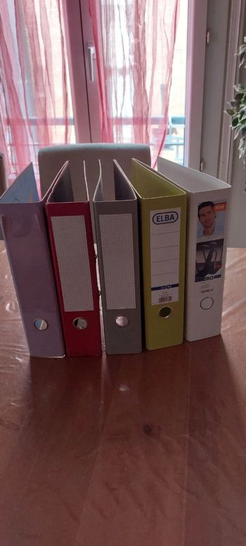 Lot gros classeurs à levier
