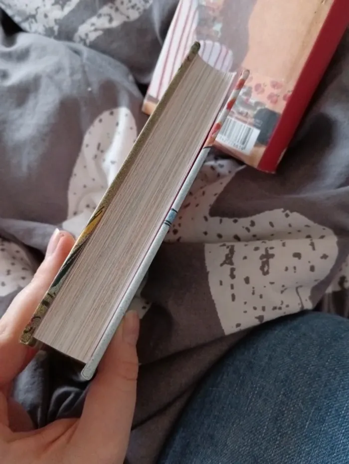 Livre "les malheurs de Sophie comtesse de Ségur " - photo numéro 14