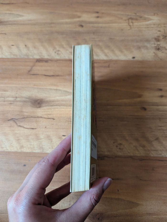 Livre dragonball pastel n°42 - photo numéro 3