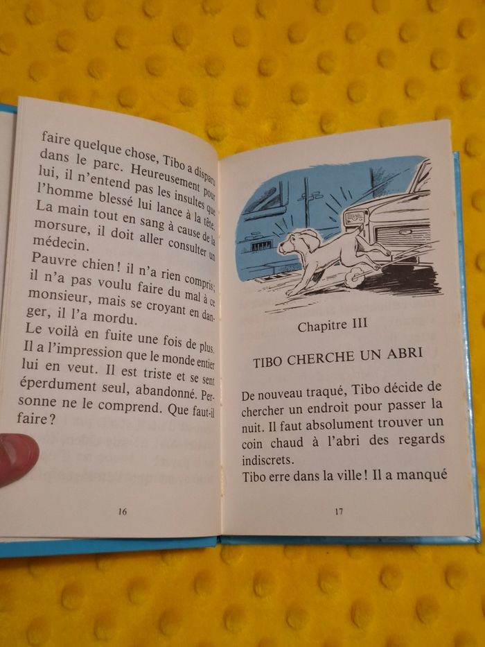 Livre - photo numéro 2