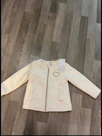 Gilet / veste orchestra