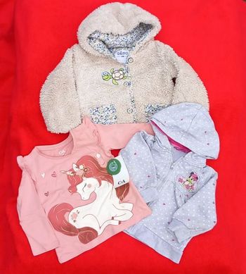 Magnifique lot 24 mois 🌸 Gémo/C&A/Disney