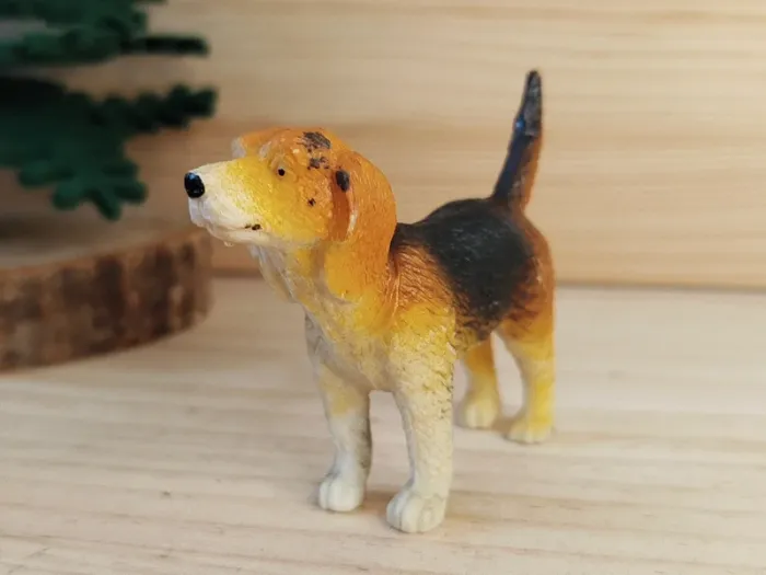 Fig Epagneul chien de chasse Animal domestique - photo numéro 2