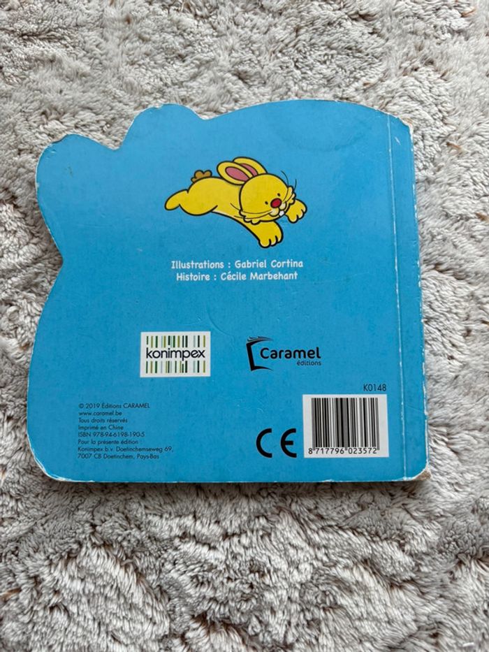 Livre Lasko le lapin - photo numéro 7