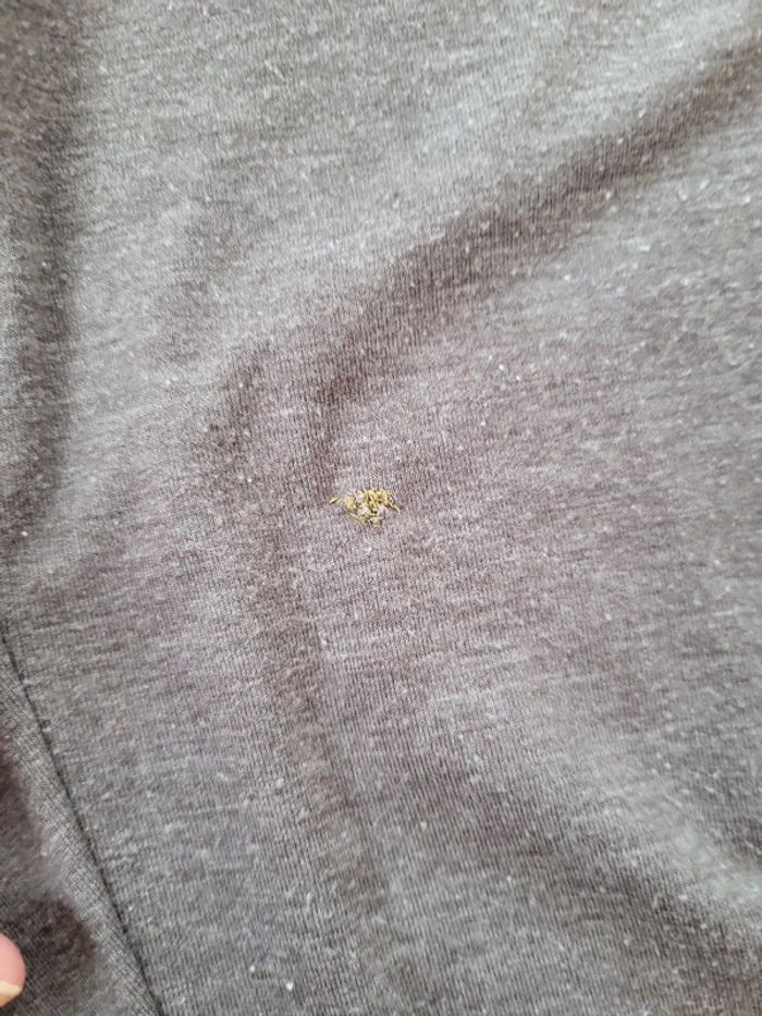 Pantalon fluide - photo numéro 2