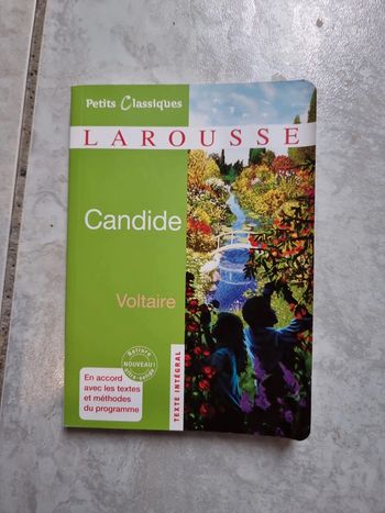 Candide #orianabllivre