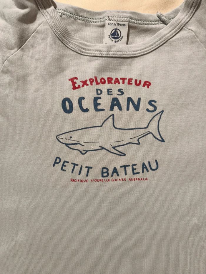 Tee shirt Petit Bateau 6 ans - photo numéro 4