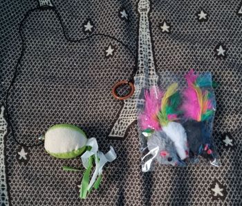 Lot jouets pour chat 🐱