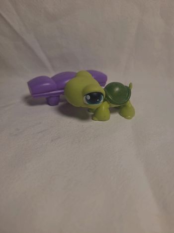 tortue petshop aimanté