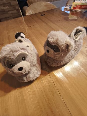 Chaussons raton laveur