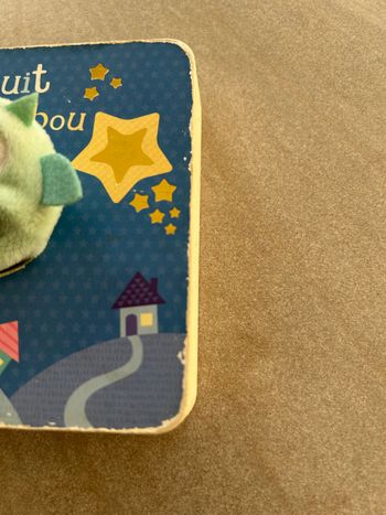 Livre "la nuit de bébé Hibou"