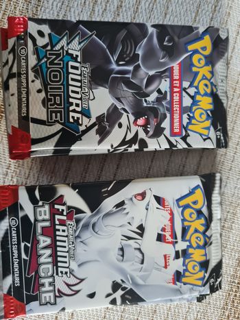 Pokemon Ev10.5 lot de 10 boosters en Français