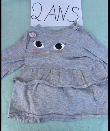 Robe grise chat 2 ans bon état