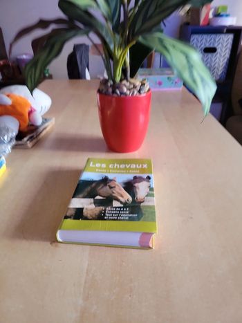Les chevaux