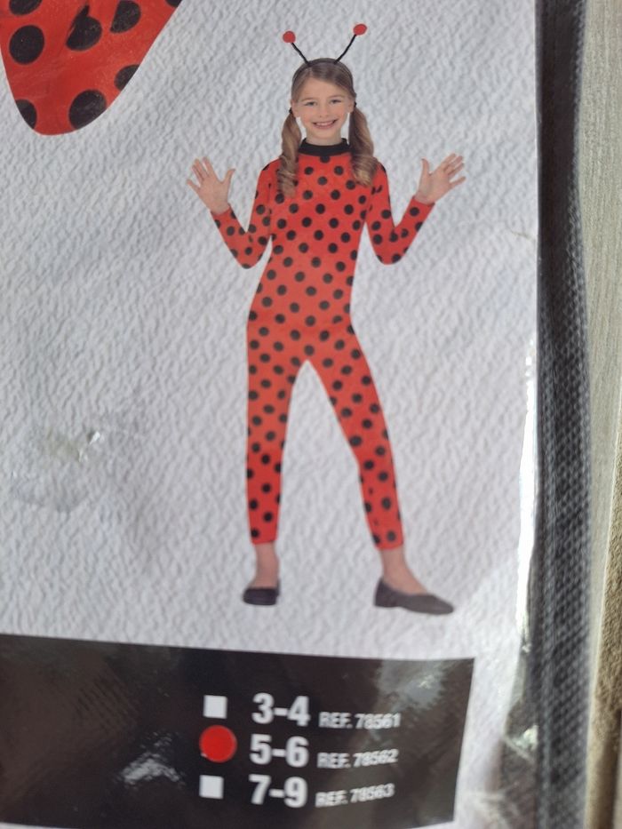 Déguisement coccinelle 🐞 - photo numéro 2