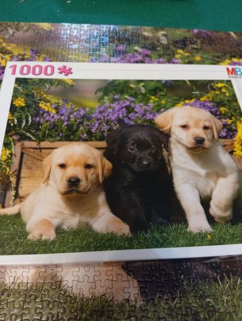 Puzzle 1000 pièces 