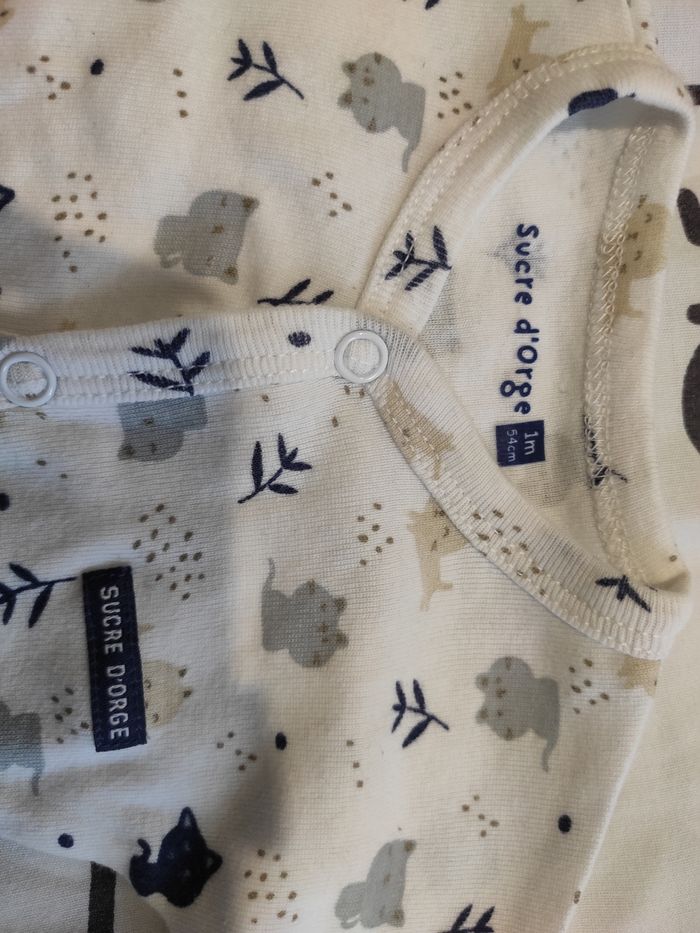 Bodie - photo numéro 2