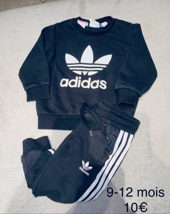Training Adidas
