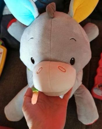Ane peluche activité