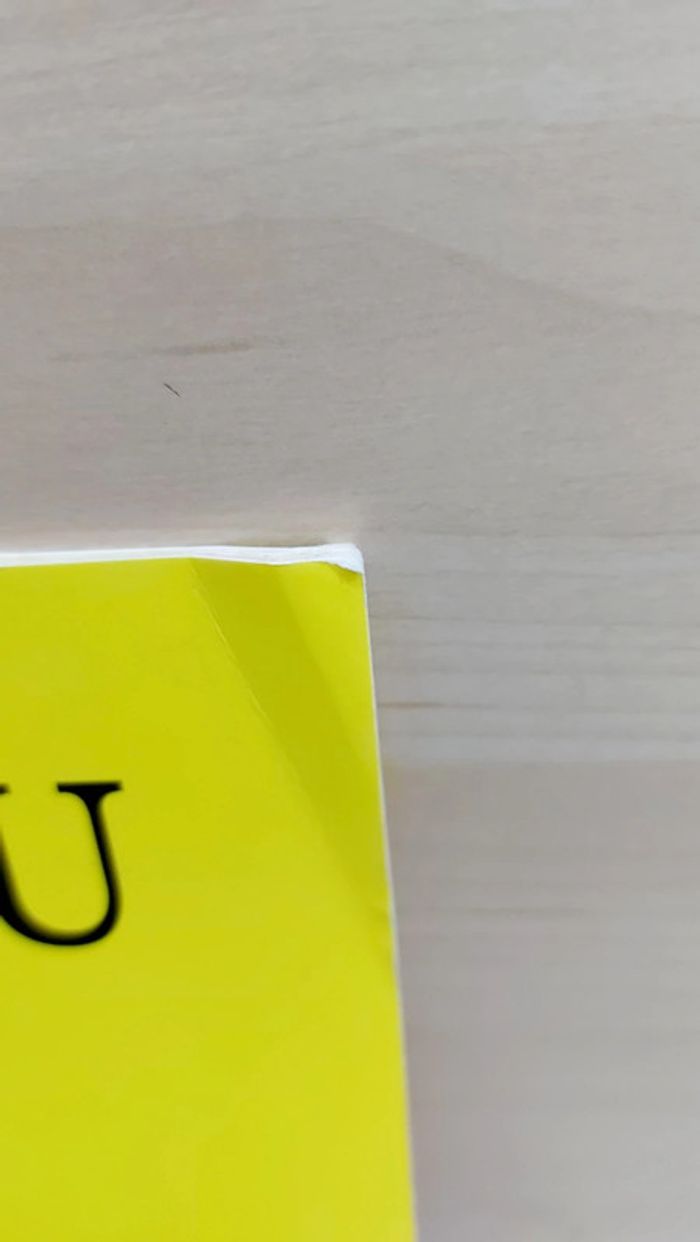 🌺 Livre (école des loisirs) : Loulou à l'école des loups - photo numéro 9