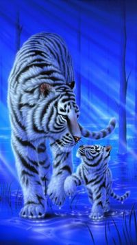 profil