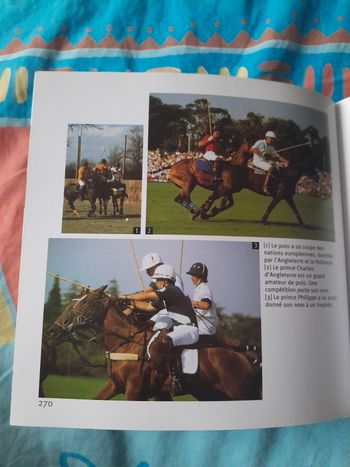 Livre sur les chevaux 1001 photos