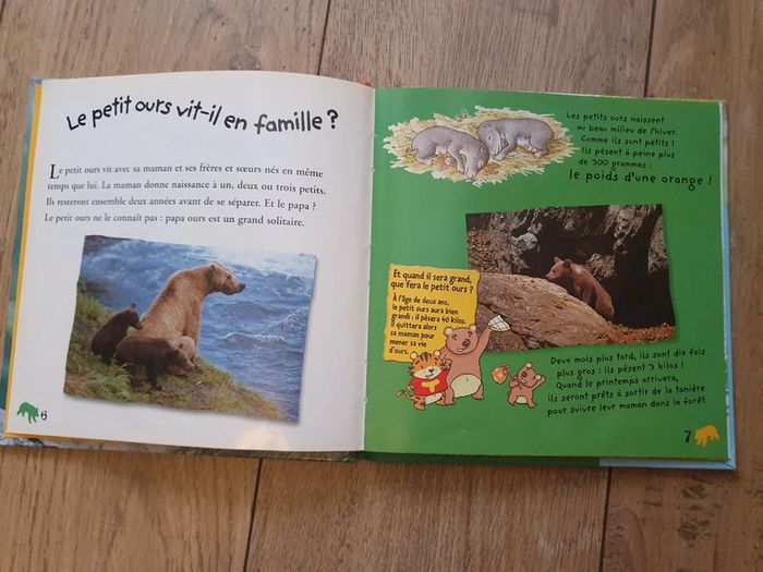 Le petit ours et Perdus dans la forêt - photo numéro 8
