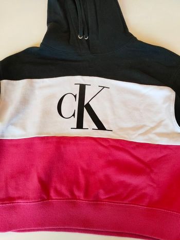 Pull sweat capuche Calvin Klein