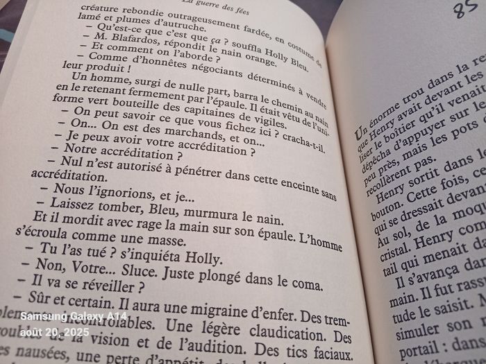 La guerre des fées - photo numéro 3