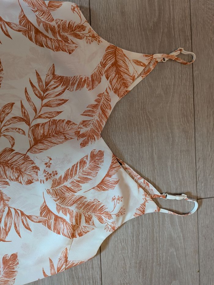 Top plume - photo numéro 2