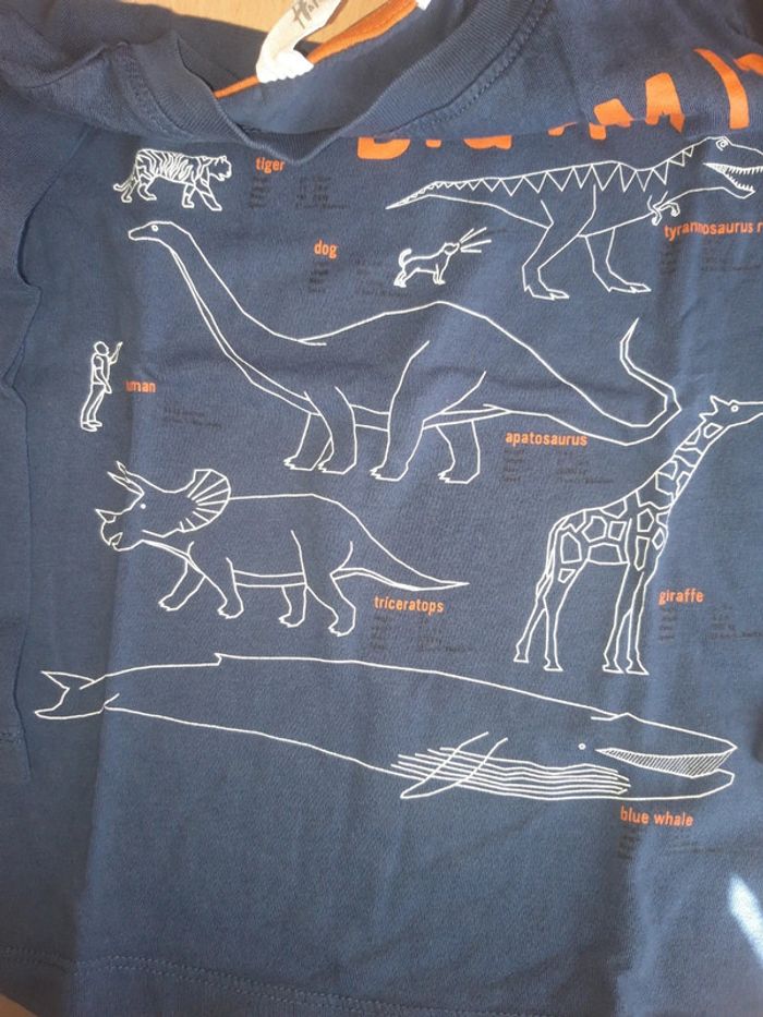 Tee-shirt h&m 98/104 cm - photo numéro 3