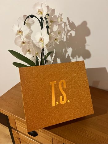 Taylor Swift The Life of a Showgirl Cardigan CD Box