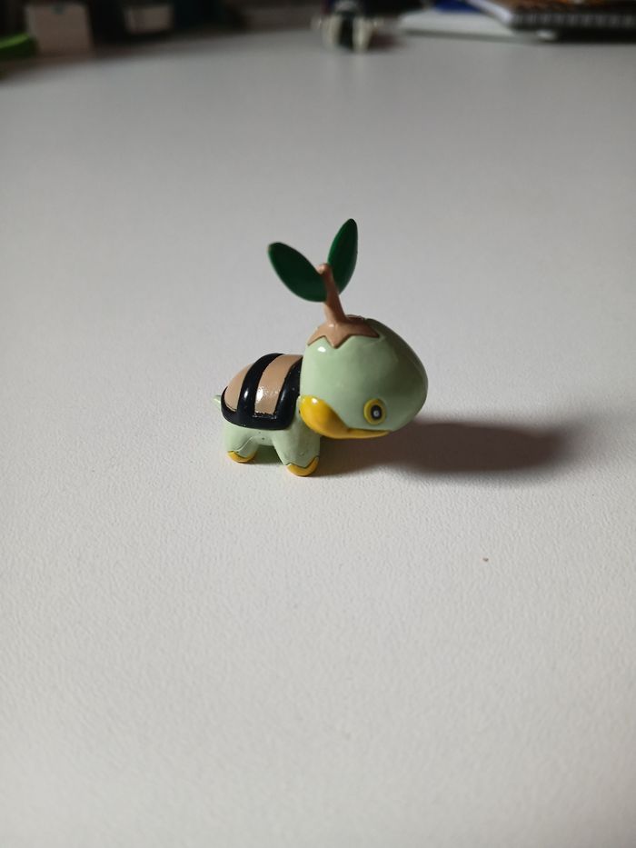 Tortipousse Pokémon