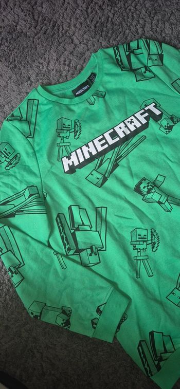 Pull Minecraft 13 14 ans