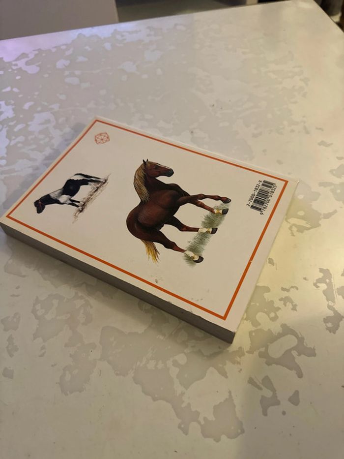 Livre chevaux - photo numéro 5