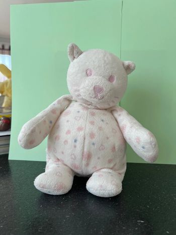 Chat tout compte fait