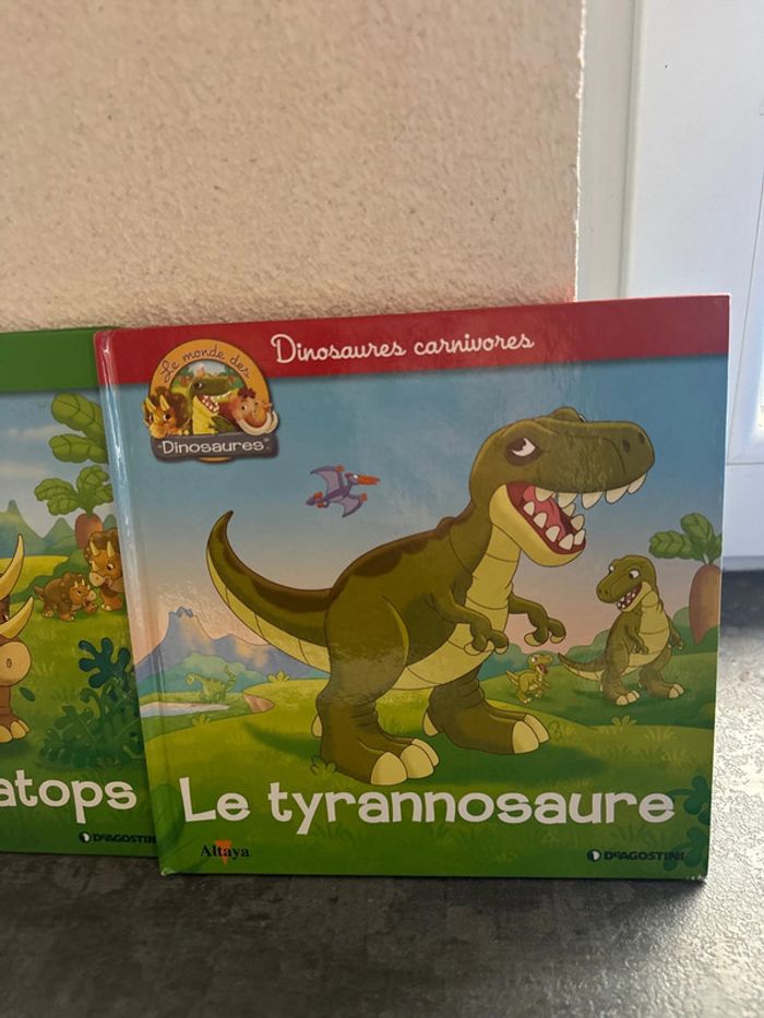 Livres dinosaures - photo numéro 3