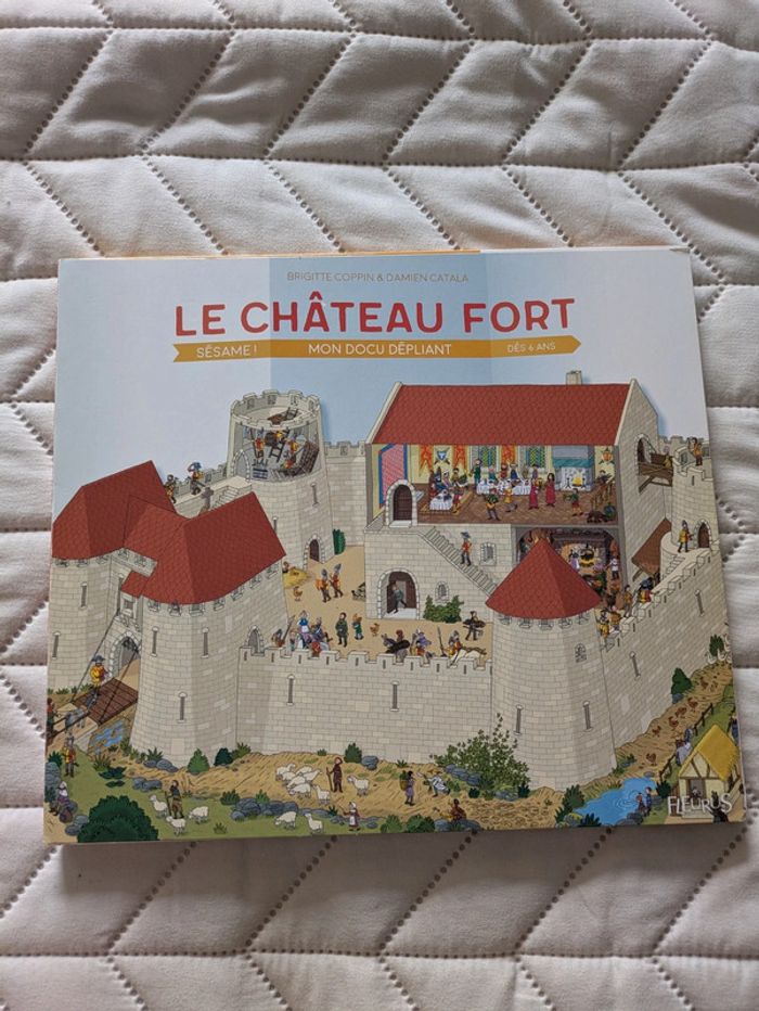 Lot de 2 livres sur les châteaux forts - photo numéro 2