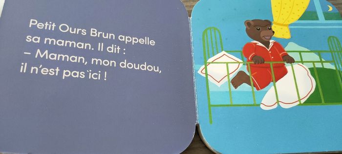 Petit ours brun a perdu son doudou - photo numéro 3