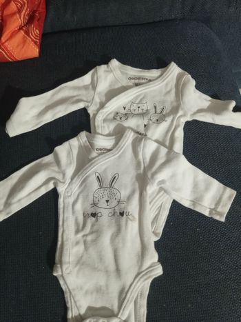 Lot 2 body orchestra