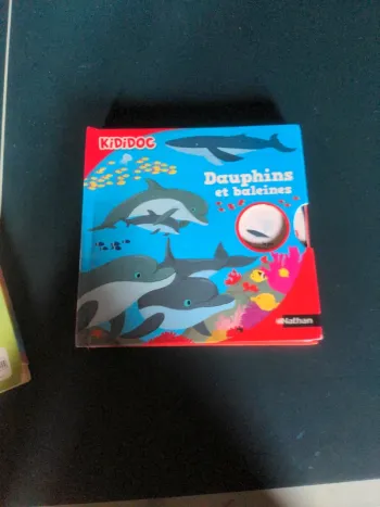 Kididoc Dauphins et baleines