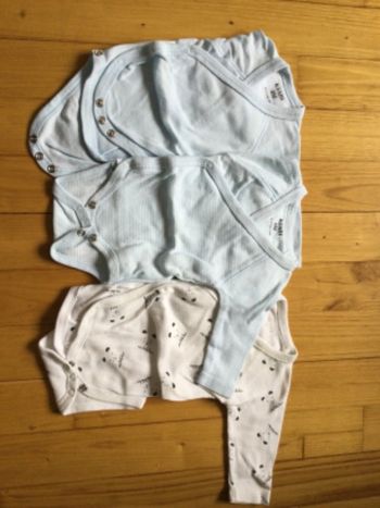 Lot 3 bodies